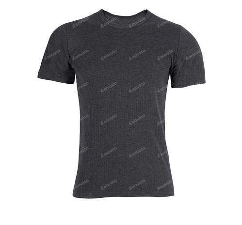 Muscle Fit T-Shirt
